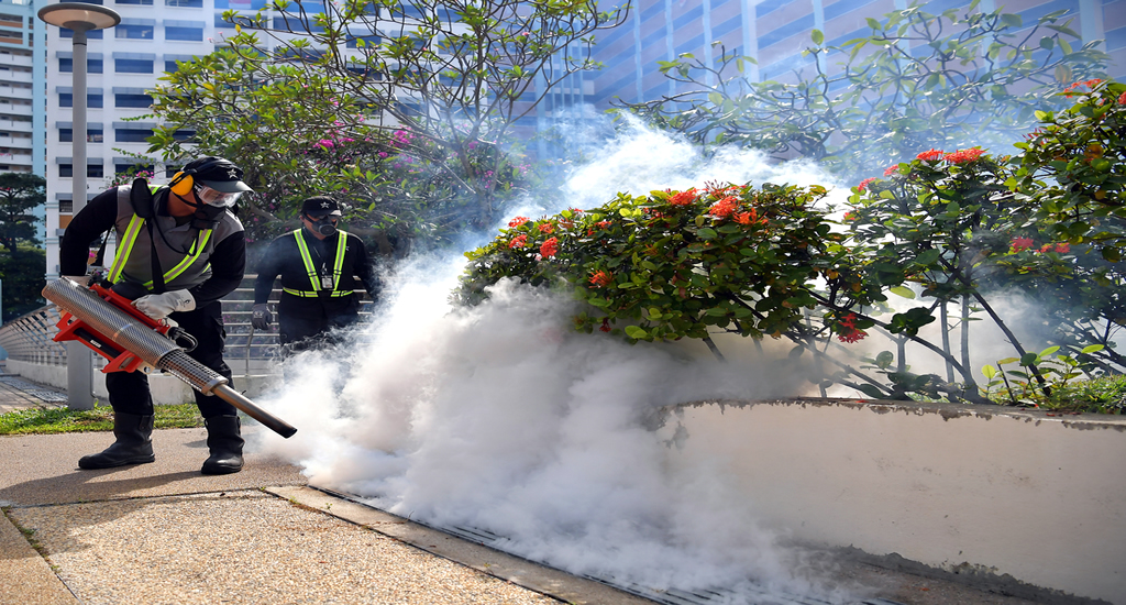 Dedetização Fumacê 1