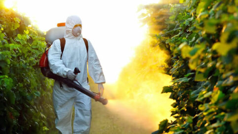 óleo mineral para combate à dengue